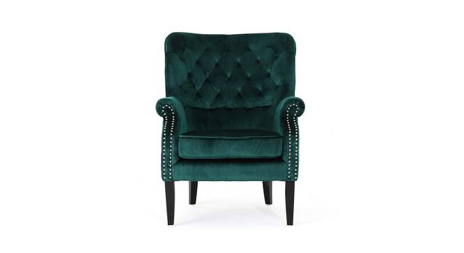 Dolph Lounge Chair (Green, Texture Finish) by Urban Ladder - Front View Design 1 - 413266