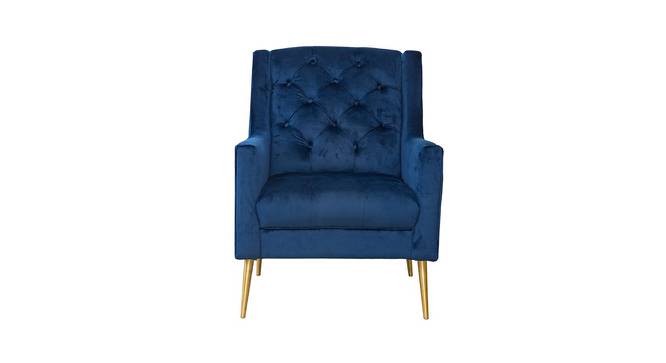 Donahue Lounge Chair (Navy Blue, Texture Finish) by Urban Ladder - Front View Design 1 - 413268