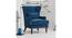 Diem Lounge Chair (Blue, Texture Finish) by Urban Ladder - Design 1 Dimension - 413322