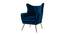 Garland Lounge Chair (Navy Blue, Texture Finish) by Urban Ladder - Front View Design 1 - 413351
