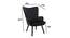 Gwen Lounge Chair (Black, Texture Finish) by Urban Ladder - Design 1 Dimension - 413400