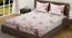 Jhumpa Bedsheet Set (Pink, Regular Bedsheet Type, Queen Size) by Urban Ladder - Cross View Design 1 - 413994