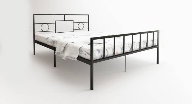 Author Bed (Queen Bed Size, Semi Gloss Finish) by Urban Ladder - - 
