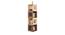 Emrys Bookshelf (Dark & Light Oak, Dark & Light Oak Finish) by Urban Ladder - Cross View Design 1 - 414794