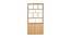 Ender Bookshelf with Cabinet (Light Oak Finish, Light Oak) by Urban Ladder - Rear View Design 1 - 414836