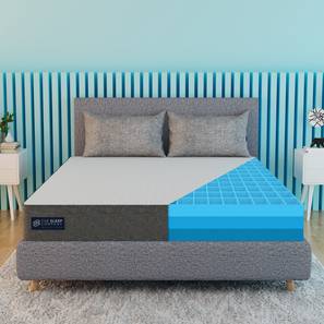 6 Inch Mattress Design Smart Grid Luxe Single Size Mattress (Single, 78 x 36 in (Standard) Mattress Size, 6 in Mattress Thickness (in Inches))