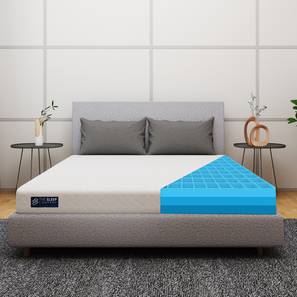 The Sleep Company Mattress Design Smart Grid Orthopedic Single Size Mattress (Single, 5 in Mattress Thickness (in Inches), 72 x 36 in Mattress Size)