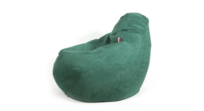 Leone Filled Bean Bag (with beans Bean Bag Type, Palm Green) by Urban Ladder - Cross View Design 1 - 419339