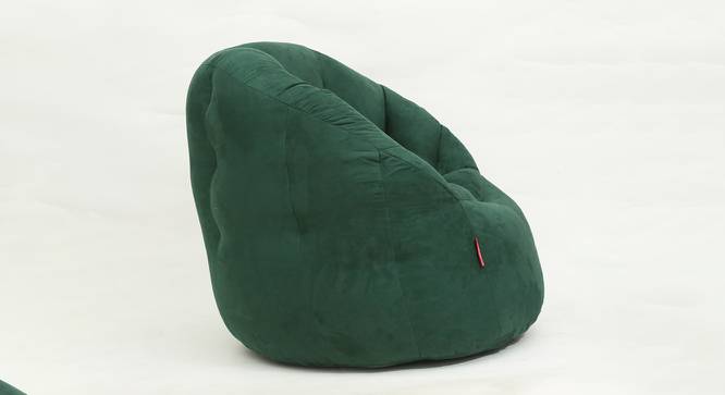 Rue Filled Bean Bag Chair (with beans Bean Bag Type, Palm Green) by Urban Ladder - Cross View Design 1 - 419347