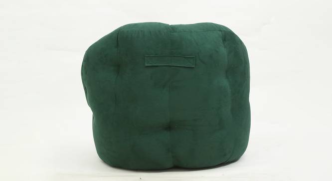 Rue Filled Bean Bag Chair (with beans Bean Bag Type, Palm Green) by Urban Ladder - Front View Design 1 - 419368