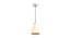 Shia Chandelier (Gold) by Urban Ladder - Cross View Design 1 - 419806