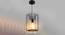 Salena Pendant Lamp (Black) by Urban Ladder - Front View Design 1 - 419812