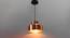 Tanaia Pendant Lamp (Gold) by Urban Ladder - Front View Design 1 - 419819