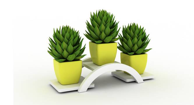 Cono Planter (White, Large Size) by Urban Ladder - Front View Design 1 - 419874