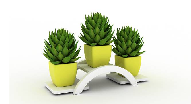 Cono Planter (White, Medium Size) by Urban Ladder - Front View Design 1 - 419875