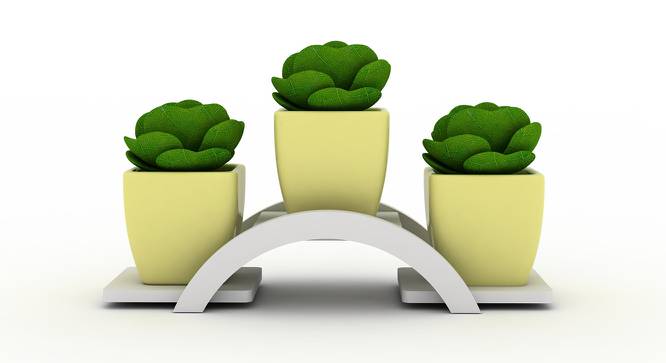 Cono Planter (White, Small Size) by Urban Ladder - Front View Design 1 - 419876