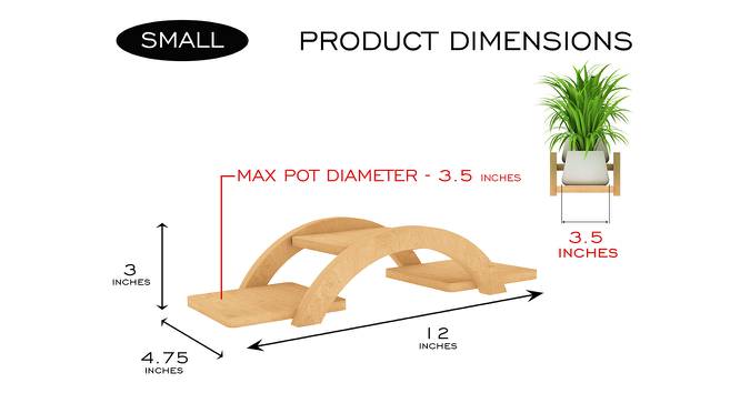 Cono Planter (Beige, Small Size) by Urban Ladder - Design 1 Dimension - 419918