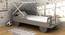 Stewie Bed (Grey, Matte Finish) by Urban Ladder - Front View Design 1 - 419953