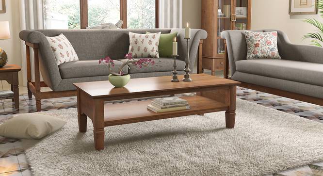 Malabar Storage Coffee Table (With Shelf Configuration, Amber Walnut Finish) by Urban Ladder - Design 1 Full View - 420786