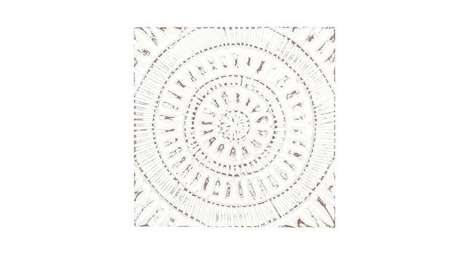 Himasa Plate (White, Single Set) by Urban Ladder - Front View Design 1 - 421064