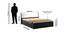 Viva Storage Bed (Queen Bed Size, Natural Wenge) by Urban Ladder - Dimension Design 1 - 
