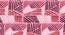 Philadelphia Bedsheet Set (Pink, King Size) by Urban Ladder - Front View Design 1 - 422149