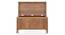 Rhodes Storage Chest (Amber Walnut Finish) by Urban Ladder - Front View Design 1 - 422478