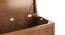 Rhodes Storage Chest (Amber Walnut Finish) by Urban Ladder - Design 1 Close View - 422479