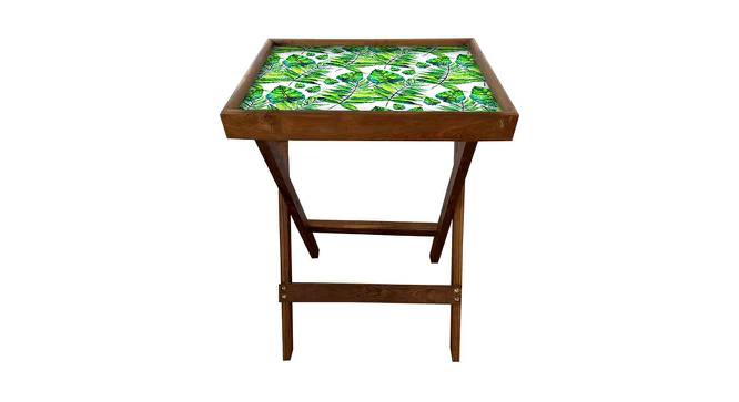 Hemmings Tray Table (Matte Finish, Multicolor) by Urban Ladder - Front View Design 1 - 422523
