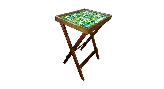 Hemmings Tray Table (Matte Finish, Multicolor) by Urban Ladder - Cross View Design 1 - 422540