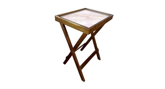 Sabin Tray Table (Matte Finish, Multicolor) by Urban Ladder - Cross View Design 1 - 422638