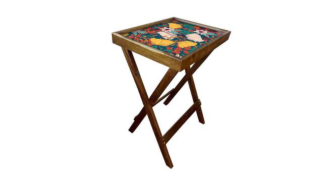 Sigourney Tray Table (Matte Finish, Multicolor) by Urban Ladder - Cross View Design 1 - 422714