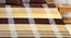 Perceval Bedsheet Set (King Size, Multicolor) by Urban Ladder - Front View Design 1 - 423100