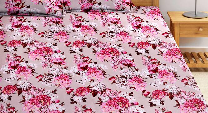 Ivory Bedsheet Set (King Size, Multicolor) by Urban Ladder - Front View Design 1 - 423965