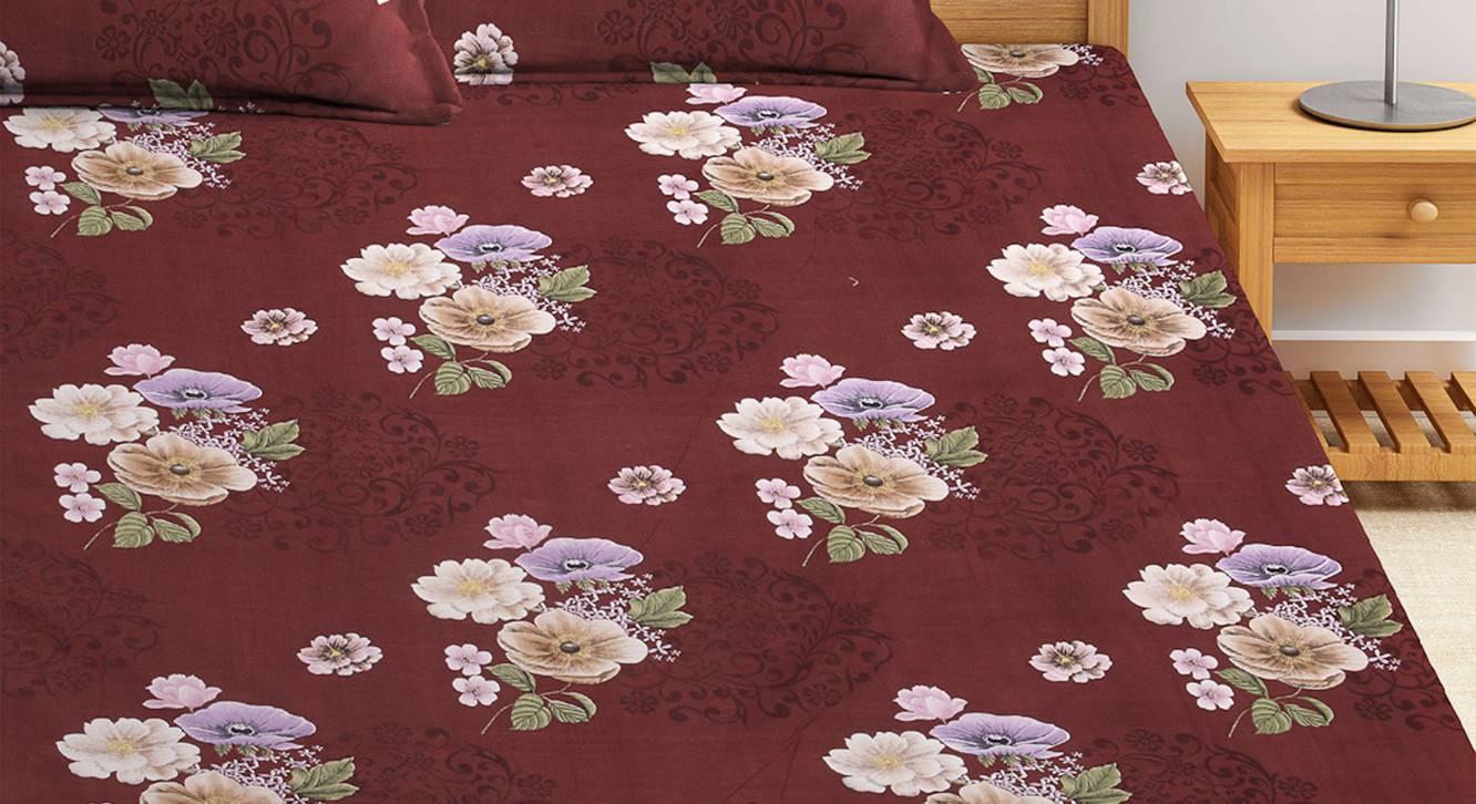 Brown TC Cotton Blend King Size Bedsheet Urban Ladder