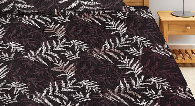 Mittens Bedsheet Set (Brown, King Size) by Urban Ladder - Front View Design 1 - 424582