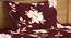 Urie Bedsheet Set (Brown, Single Size) by Urban Ladder - Cross View Design 1 - 425197