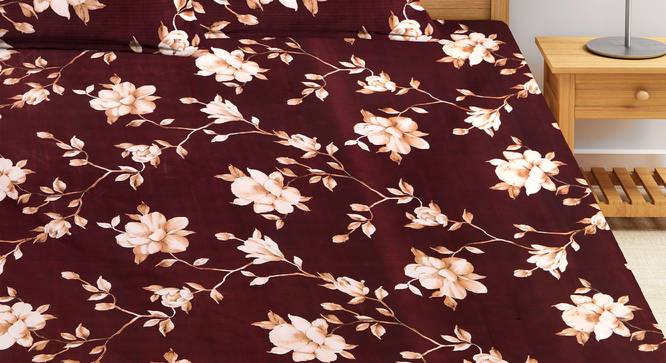 Alaya Bedsheet Set (Brown, King Size) by Urban Ladder - Front View Design 1 - 425405