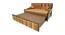 Bedelia Dewan Cum Bed (Dark Brown) by Urban Ladder - Rear View Design 1 - 425730