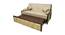 Bree Sofa Cum Bed (Dark Brown) by Urban Ladder - Rear View Design 1 - 425731