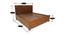 Ezekiel Storage Bed (King Bed Size, Walnut) by Urban Ladder - Design 1 Dimension - 425858