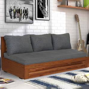 Ricardo sofa cum bed with storage honey lp