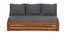 Ricardo Sofa Cum Bed With Storage (HONEY) by Urban Ladder - Front View Design 1 - 425886