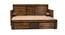 Regina Sofa Cum Bed With Storage (Dark Brown) by Urban Ladder - Cross View Design 1 - 425902