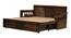 Regina Sofa Cum Bed With Storage (Dark Brown) by Urban Ladder - Design 1 Side View - 425914