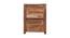 Viviana Bedside Table (Walnut) by Urban Ladder - Front View Design 1 - 425978