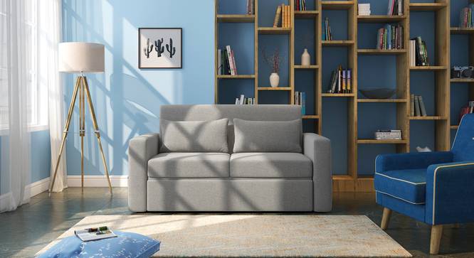Camden Compact Sofa Cum Bed (Vapour Grey) by Urban Ladder - Half View Design 1 - 426027