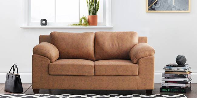 Steeve Leatherette Sofa (Brown) (Brown, 2-seater Custom Set - Sofas, None Standard Set - Sofas, Leatherette Sofa Material, Regular Sofa Size, Regular Sofa Type)