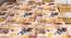 Westie Bedsheet Set (Brown, Single Size) by Urban Ladder - Front View Design 1 - 426638