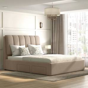 Beds With Storage Design Faroe Engineered Wood Queen Size Box Storage Upholstered Bed in Finish